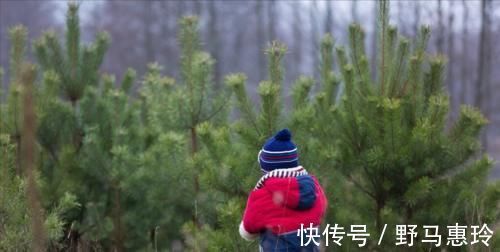 小男孩|男童目睹家长两次虐猫,从极力阻止到助纣为虐,短时间内性情大变