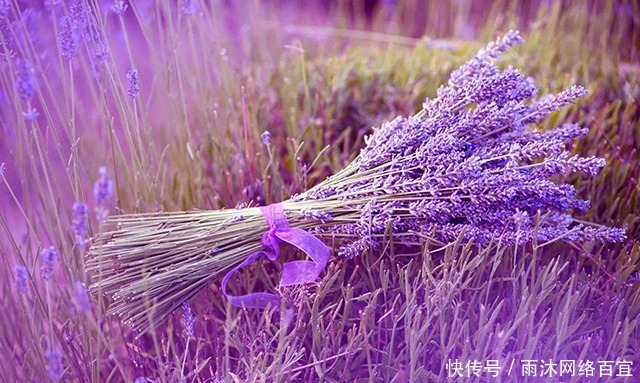 完美|皇帝龙袍脏了真的没法清洗?2种龙袍“干洗”诀窍完美搞定!