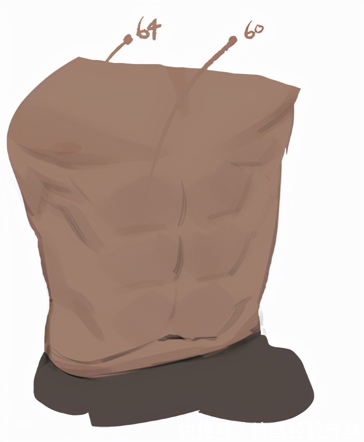 线稿|练不出腹肌我们可以画腹肌!教你腹肌上色的画法技巧!