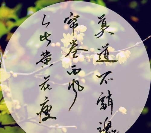 宋朝最有名才女和最有名毒妇——一对表姐妹的不同人生