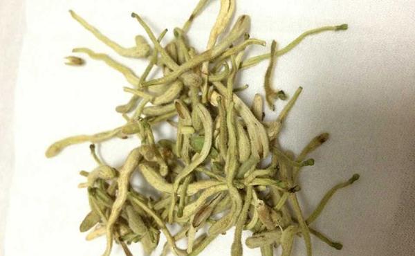 山药|黄芪搭配什么喝不上火?4种药材换着搭,补气健脾,气血更通畅