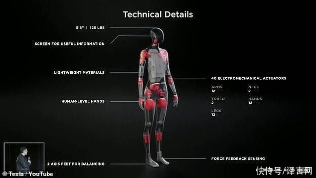 人形|特斯拉将推出人形机器人，干危险无聊的工作，马斯克:身轻易推倒