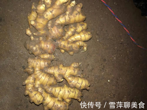 生姜能放冰箱保存吗？教你正确方法，不干瘪不生芽，真实用