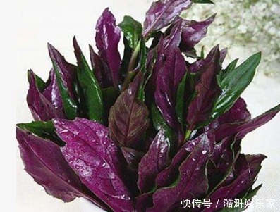 皮肤|女性常吃此菜,再贵也别省,排毒素污血,子宫干净了,皮肤更细腻