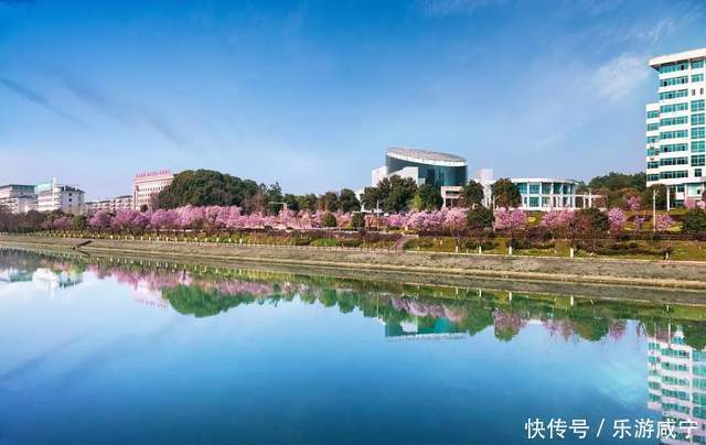 元宵节,带着你的“李焕英”“云”赏花吧!|春暖花开醉咸宁① |元宵节,带着你的“李焕英”“云”赏花吧!\",\"i12\":\"春暖花开醉咸宁①