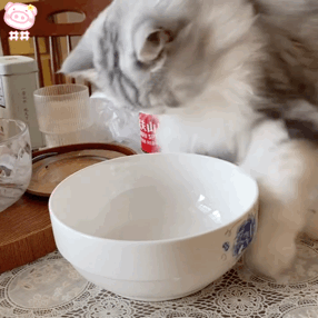 |搞笑图集:一个宿舍42个学生,网友:养猪都不敢这么养啊