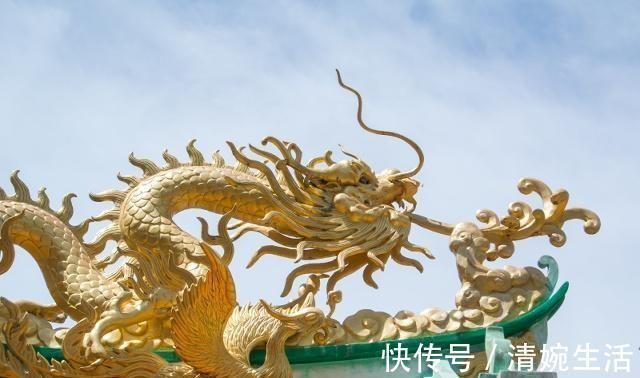 本草备要|一毒物被称“上通脑顶,下行足膝”,可散风寒,通鼻窍,祛风湿