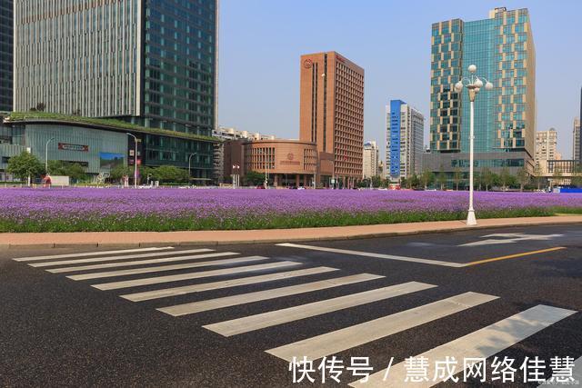 案涉|行政诉讼原被告双方应当积极配合,确保房屋征收项目的顺利推进