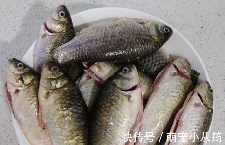 秋后碰到我从不还价的鱼，一买就是5斤，营养极高，煎着吃特香