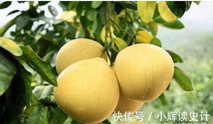 果蔬菜|秋季要推荐常吃3种食物，排毒养颜，延缓衰老，早吃早好