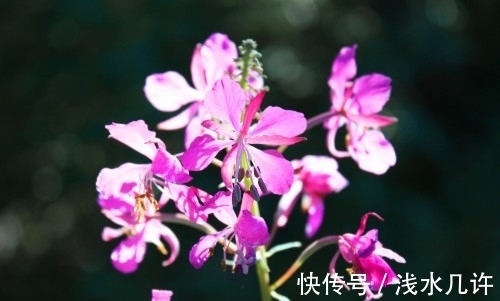 人性格|脾气越大越好哄的3生肖，雷声大雨点小，方法用对很快就烟消云散