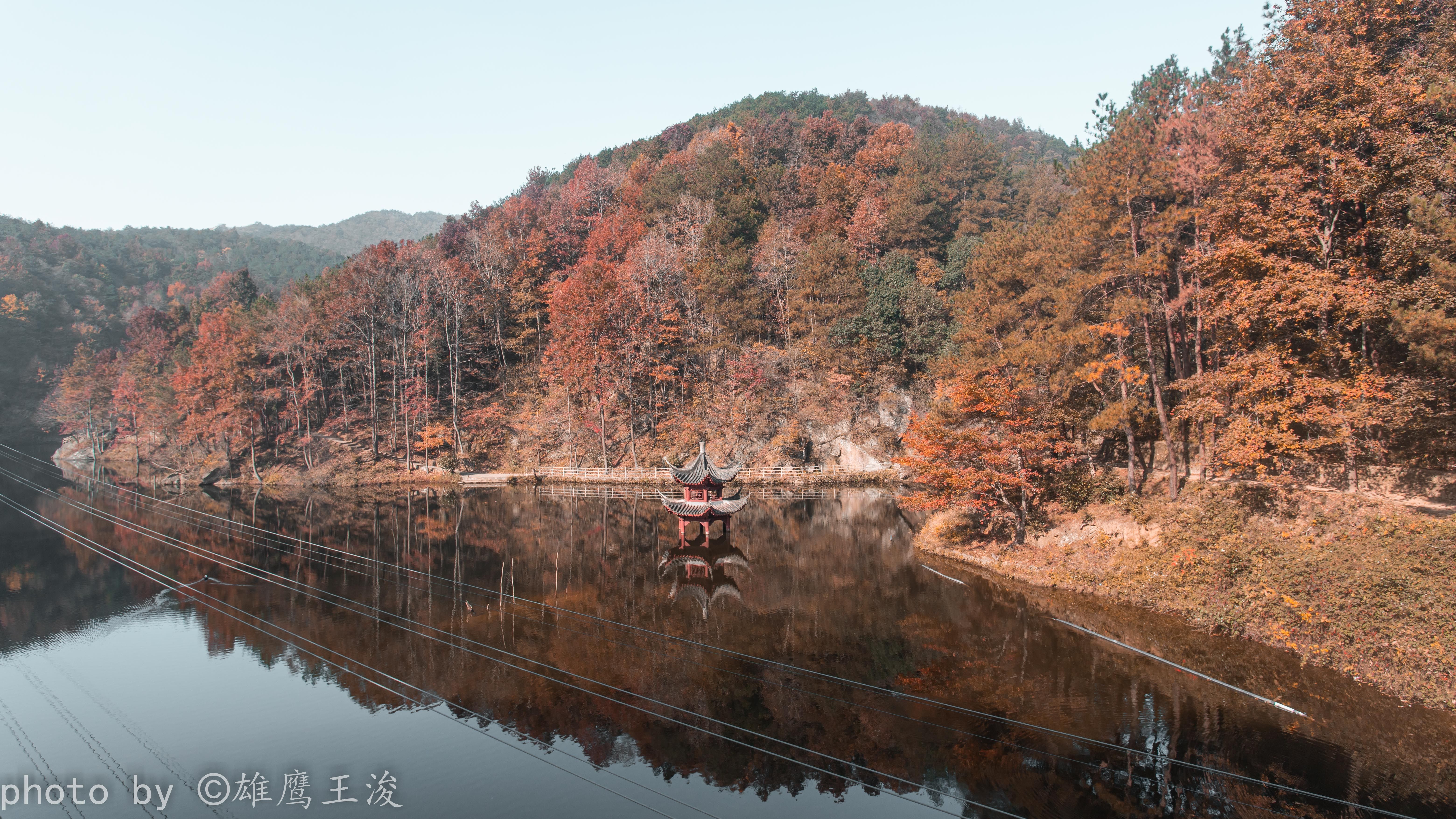 深秋|【武汉】深秋红叶季，吾待故人归