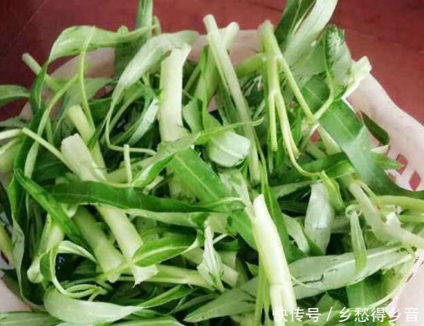 多吃此菜，称为“补钙库”，隔天炒一盘，补钙质，孩子长个不挑食