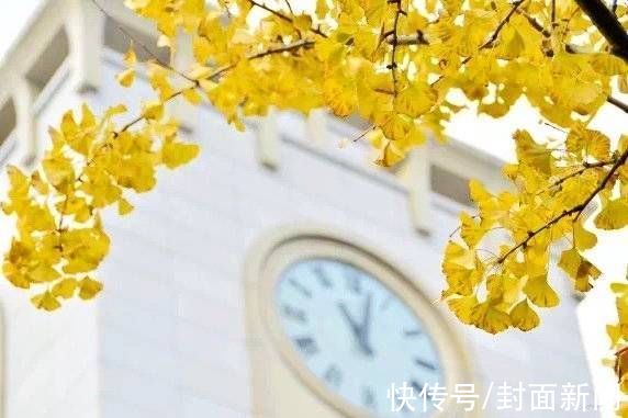 成都信息工程大学|多图警告｜数数川内高校到底承包了多少棵银杏树？