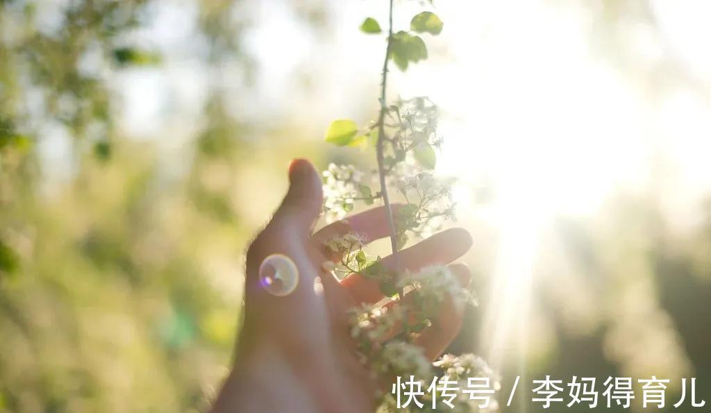 寒性体质|三伏，一年一次彻底排寒的机会