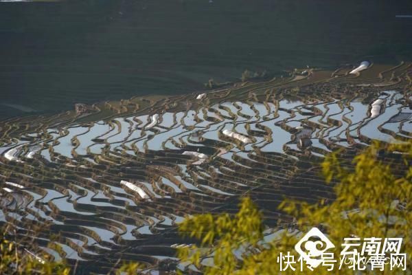 春天|绿春腊姑梯田：我和春天有个约会