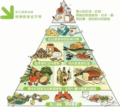 健康|一日三餐健康养生食谱搭配大全