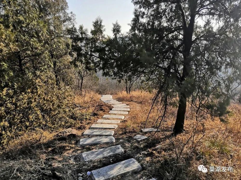 “天梯”串起山间美景！苏湾镇大寨山游客步行道即将开放！