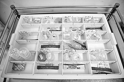 死亡|每年约7000名儿童因用药不当死亡 儿童用药难题如何破?