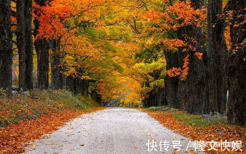 婚姻|夫妻中有一人属此生肖，上等婚姻，夫妻和睦，争吵少，恩爱到老