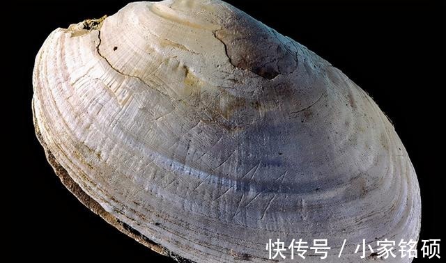 环首刀|中国刀的源流史考