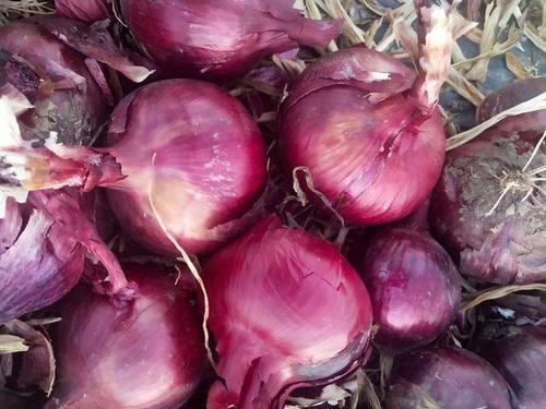 花青素|多半老得慢女人，爱吃“5紫”、“2白”、“1红”，或皮肤变细腻