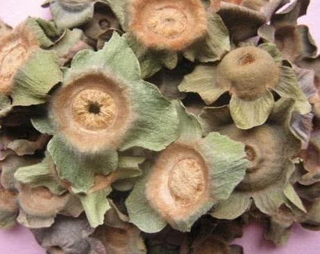 妙用|柿子蒂别再扔了,有很多不为人知的妙用,一起来了解下吧