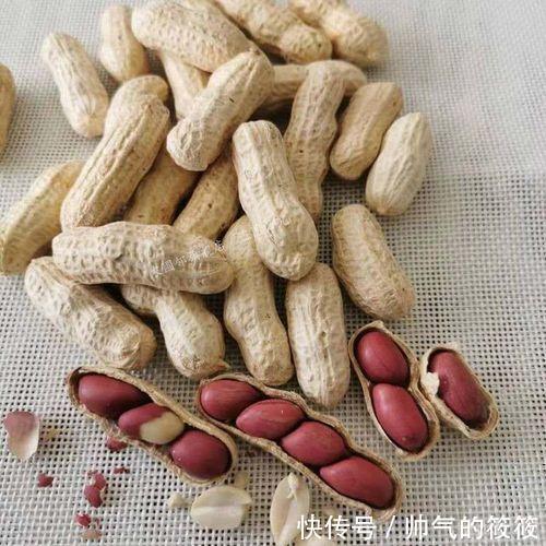 播种花生到底带壳还是不带壳二者哪个更好呢一起来看看