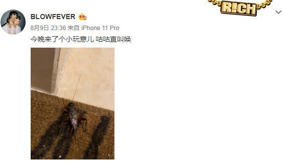 blow|说唱圈DISS大战：新人2night发歌DISS前辈，Blow好像有点接不住