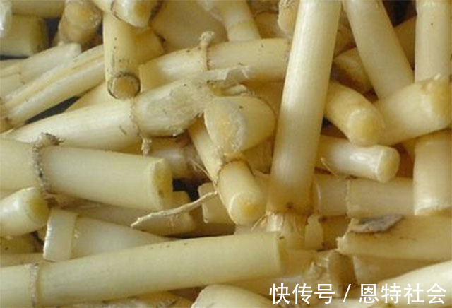 菊花|肝脏功能受损,用这4样中药泡水喝,消肝脂、排毒素,肝渐渐好转