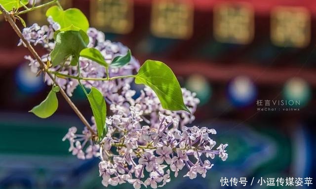 连天|长城连海水连天，人上飞楼百尺巅