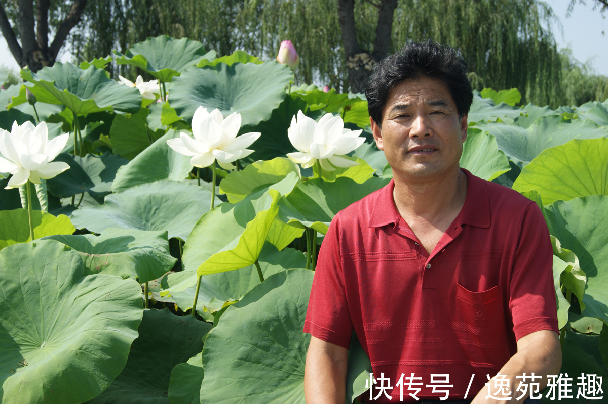 刘明玉|「作品欣赏」好喜欢,这样一种素净,画家刘明玉作品欣赏