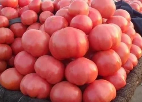 燕麦|如何预防血管堵塞?建议:6类食物敞开吃,或有助血管保持通畅