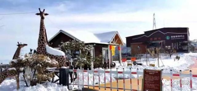 老年|淹子岭上雪