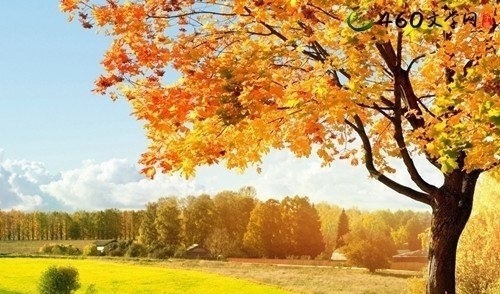 静夜思#一念秋风起,一念花辞树。四首古诗,愿你轻拥岁月,笑对流年