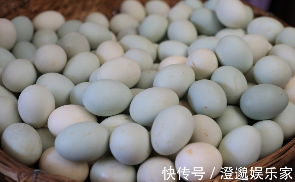 溏心蛋|鸡蛋，鸭蛋，鹅蛋，鹌鹑蛋和鸽子蛋，哪一个营养高知道后别吃错