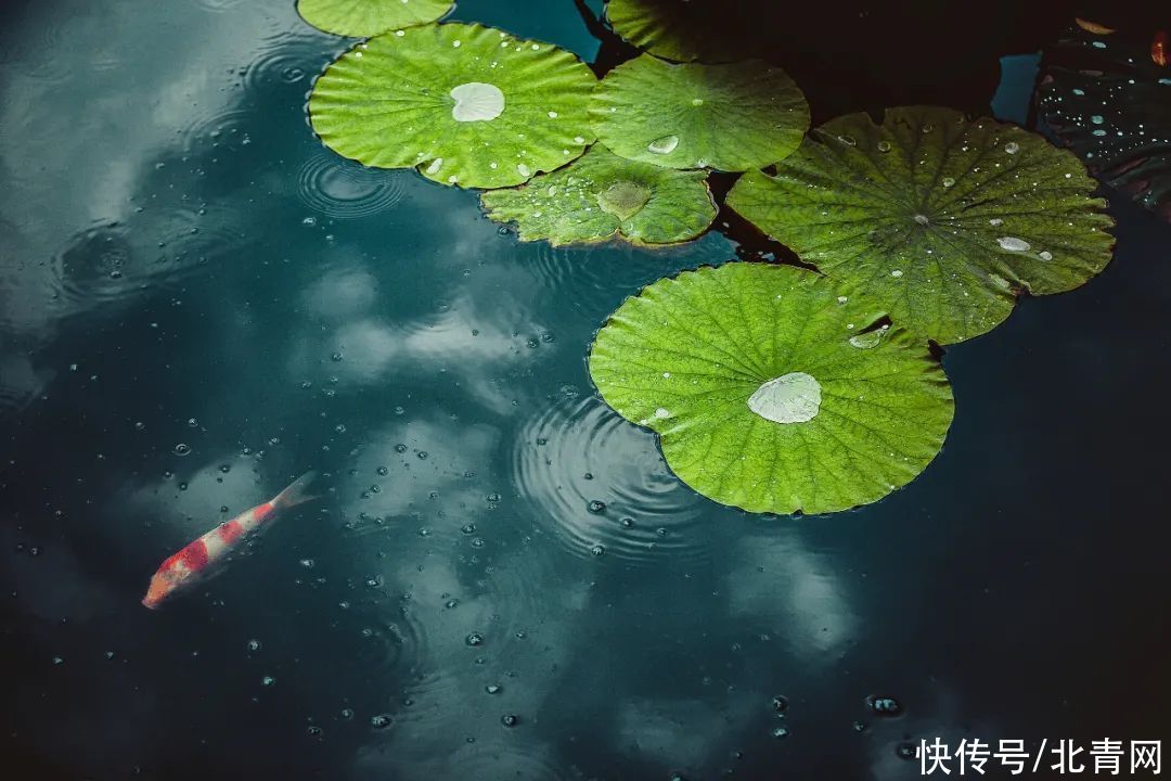 老年人|骨头隐隐作痛，心情抑郁不佳！小心“梅雨天综合症”找上门