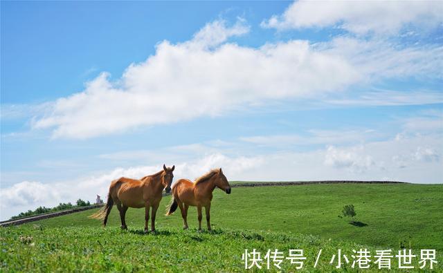 京北|中国避暑的首选目的地，自驾爱好者的天堂，一路风景如画