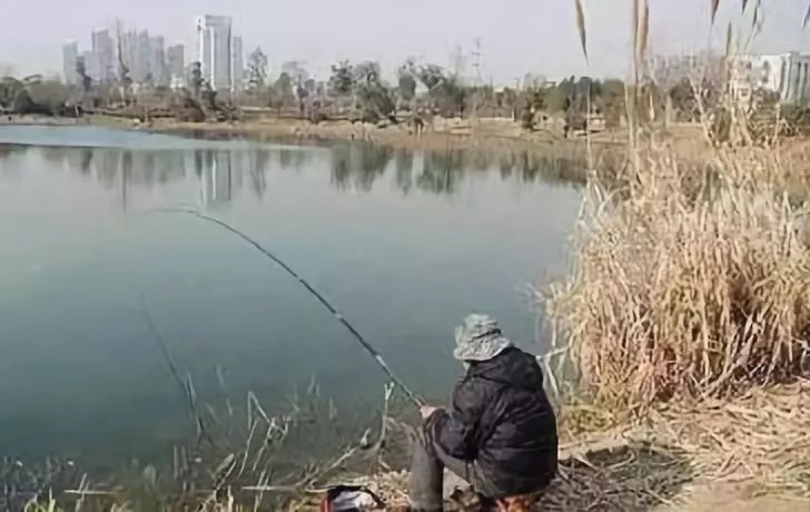 别封竿,钓鱼空军有救了,冬天钓大板鲫最拿手的绝技分享