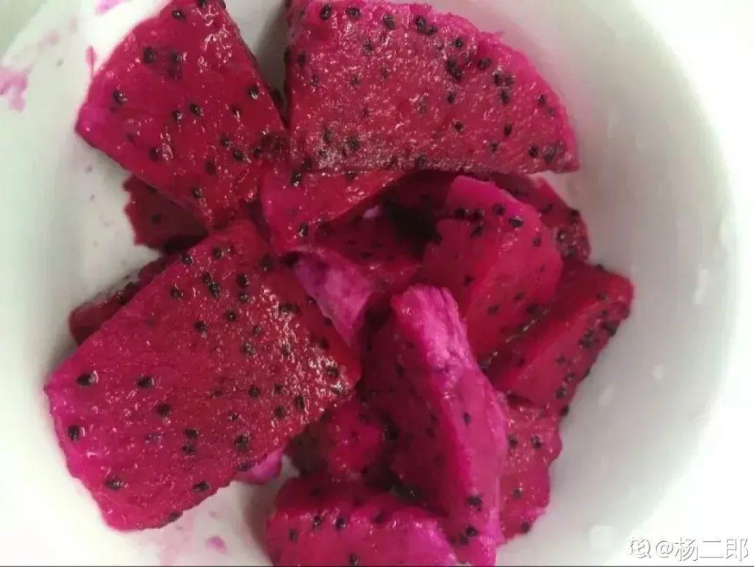 玉米棒子插盆里,7天冒出小森林,比绿萝吊兰好看