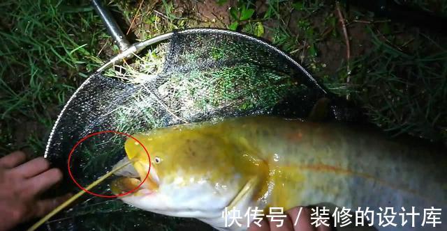 鳊鱼|浅谈秋天钓鱼的天气，对应目标鱼和钓位，选准才有好收获