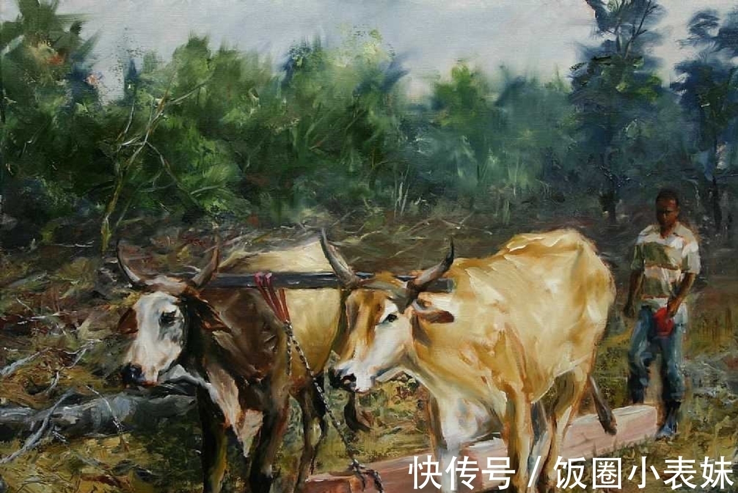 艺术学院#大美无声,有时候人与人沟通并不需要语言——寄情于画笔的拉尔夫