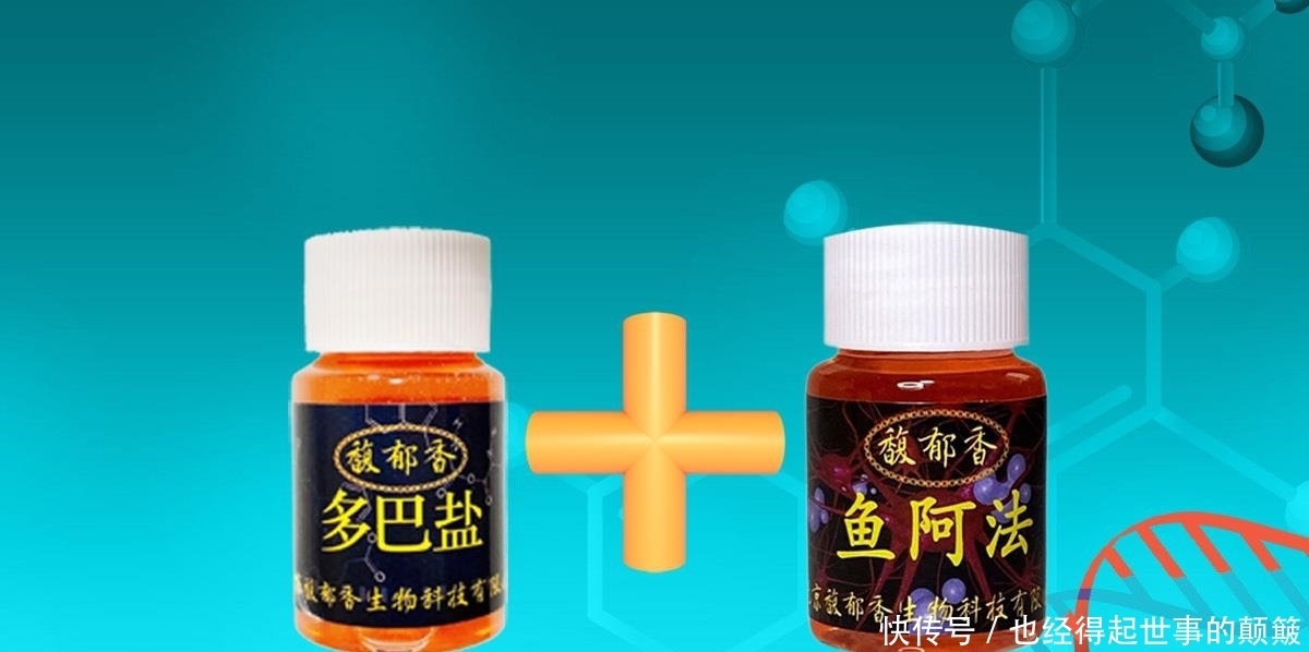 怎样钓滑口鲤鱼?滑口鲤鱼喜欢什么气味?钓滑口鲤鱼的四个绝招