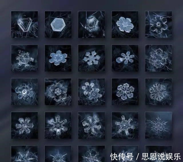 芝麻|此鱼自带“芝麻香”,被誉为“淡水之王”,因长得像鲶鱼遭嫌弃