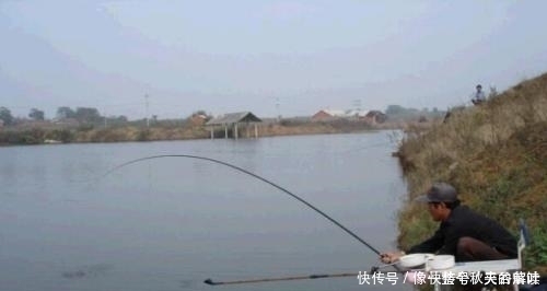 鱼儿|失手绳如何遛大鱼老钓友只用这3招应对,新手一看就会,莫忽视