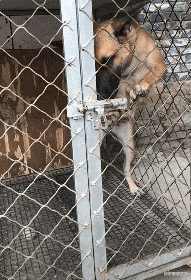 海波|喬杉洗腳城被抓了,會像海波一樣退出演藝圈嗎?哈哈哈哈哈哈哈...