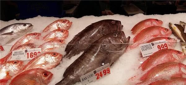  3种因颜值劝退吃货的鱼，营养价值极高，第2种市场上卖的没脑袋