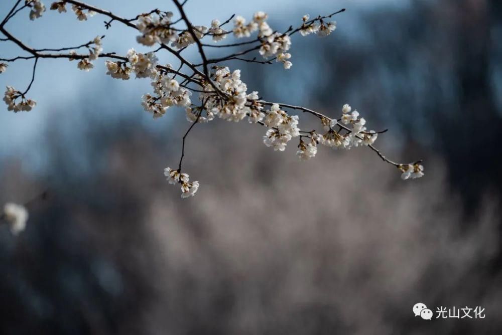 登上央视！信阳这片“仙境”，你去了吗？
