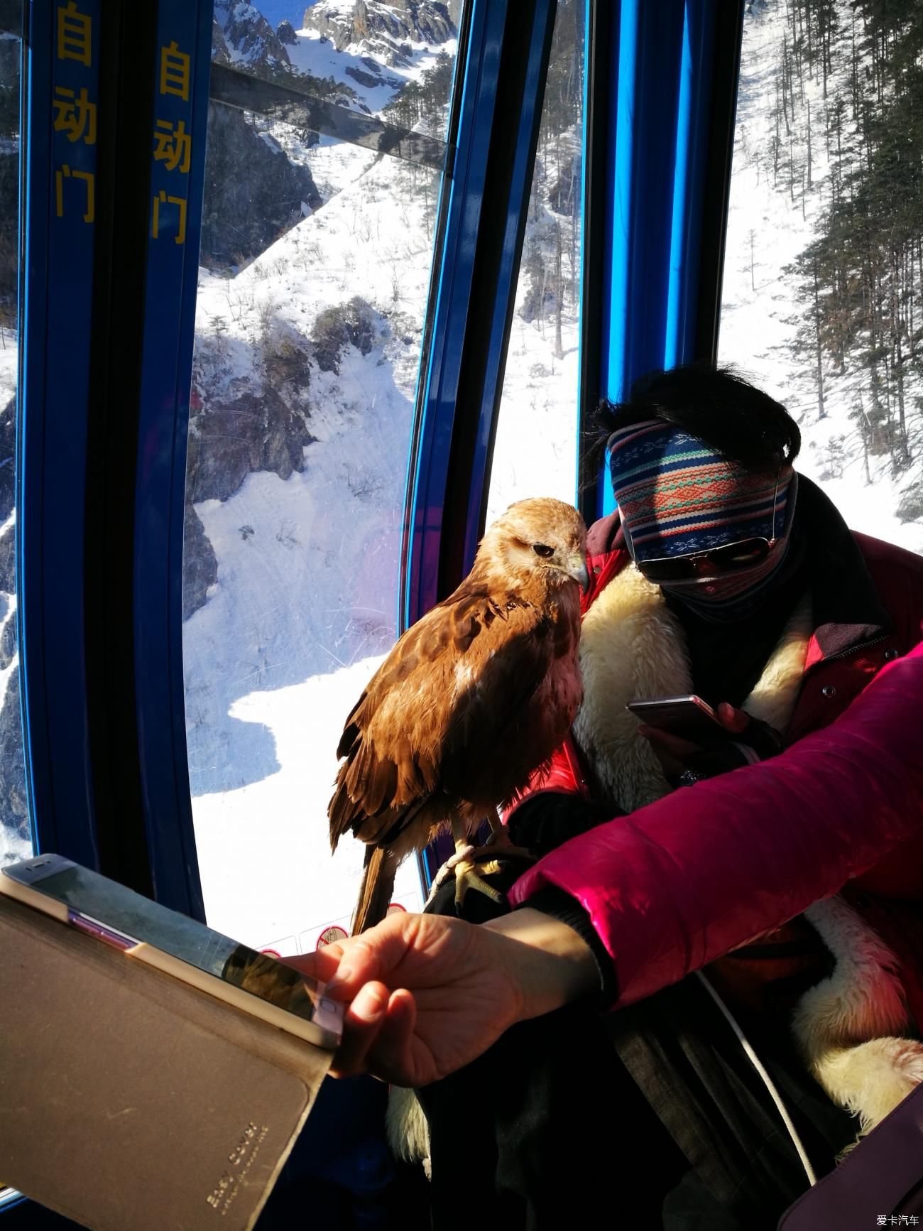 【探岳自驾】和探岳一起走进玉龙雪山