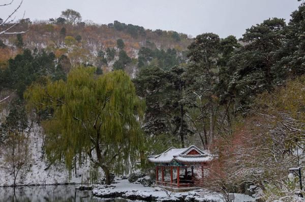 北青|时隔12年！香山再现“雪缀红叶”美景